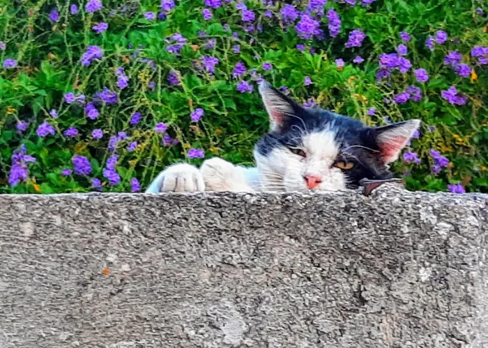 度假居 La Luna Nel Pozzo *